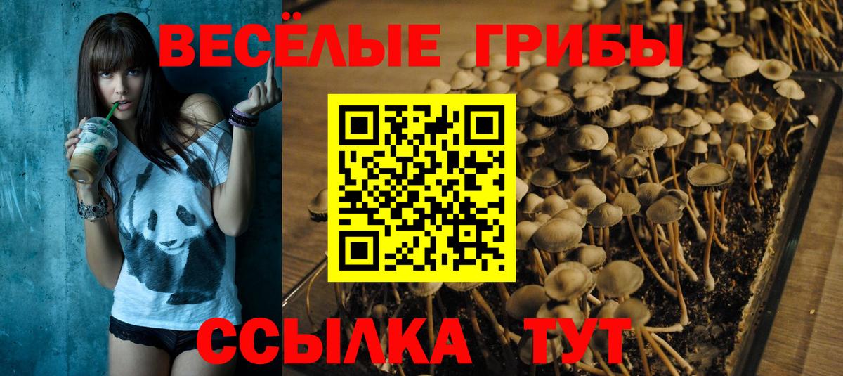 Кушва  Псилоцибиновые грибы мицелий  Вход с VPN 